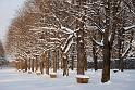 2010-12-02, Neuschnee (11)
